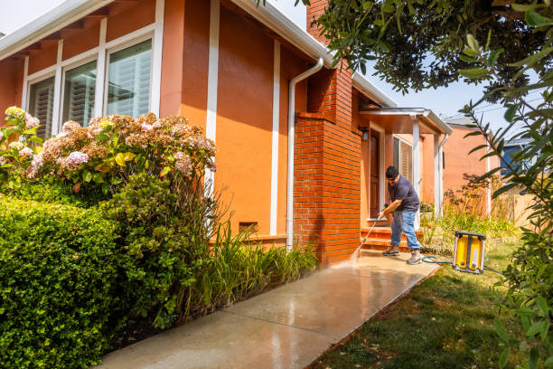Best Pressure Washing Patio  in The Homesteads, TX