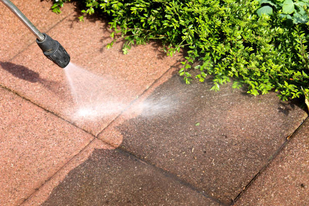 Best Best Pressure Washing Companies  in The Homesteads, TX